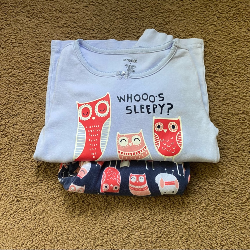 Gymboree Pajamas Long Sleeve Set